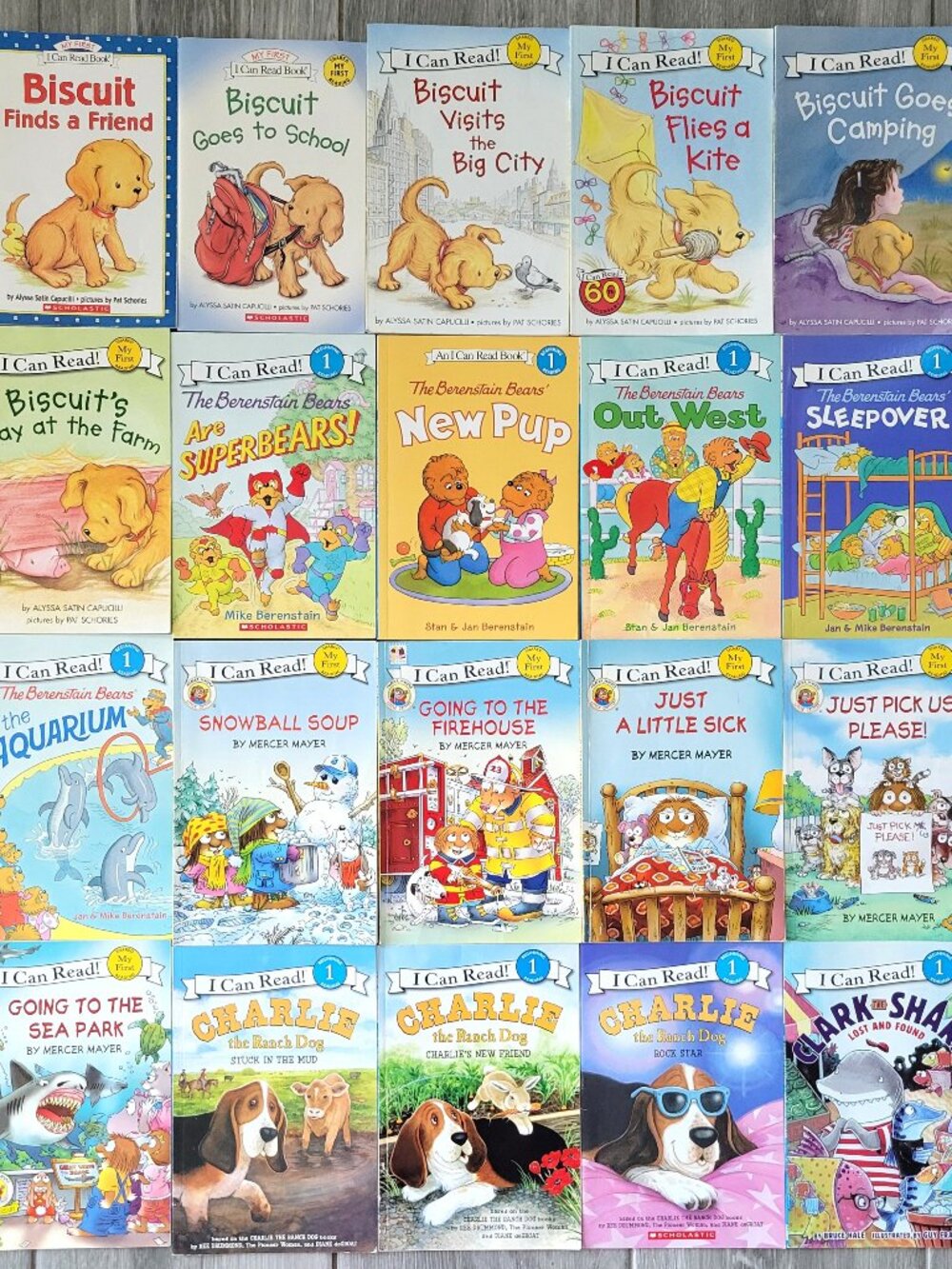 BISCUIT BERENSTAIN BEARS LITTLE CRITTERS CLARK THE SHARK I CAN READ BOOK LOT 20